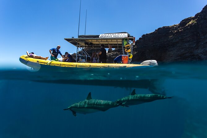 Lanai Deluxe Dolphin Adventure & 3 Snorkel Sites - Lanai’s cliffs add a second layer to the trip
