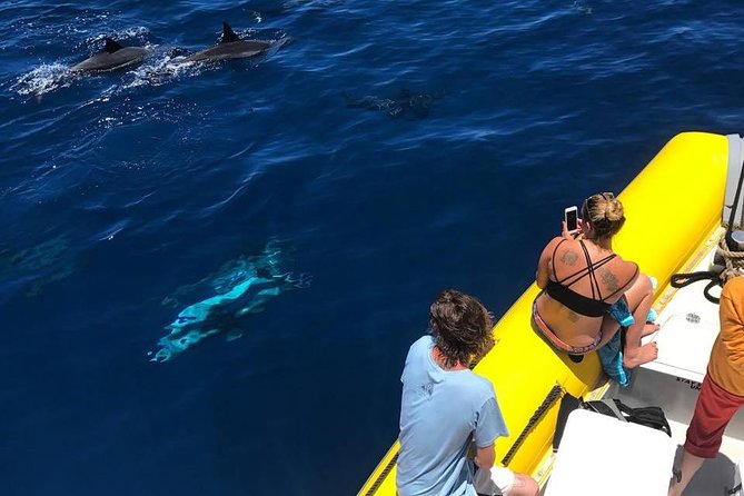Lanai Deluxe Dolphin Adventure & 3 Snorkel Sites - Is $200 a fair price for six hours?