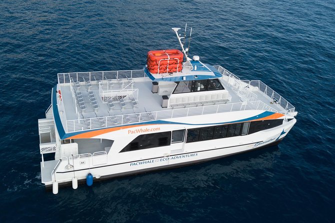 Lanai Snorkel and Dolphin Watch from Maalaea - Is $183.25 a fair price?