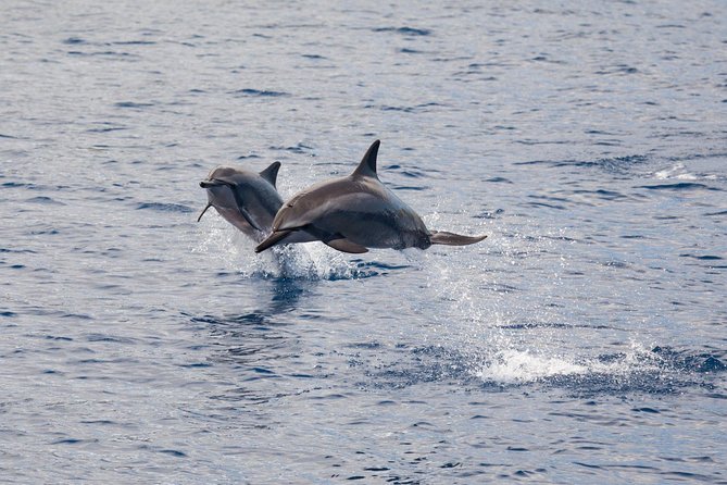 Lanai Snorkel and Dolphin Watch from Maalaea - The crossing to Lanai and the dolphin watch