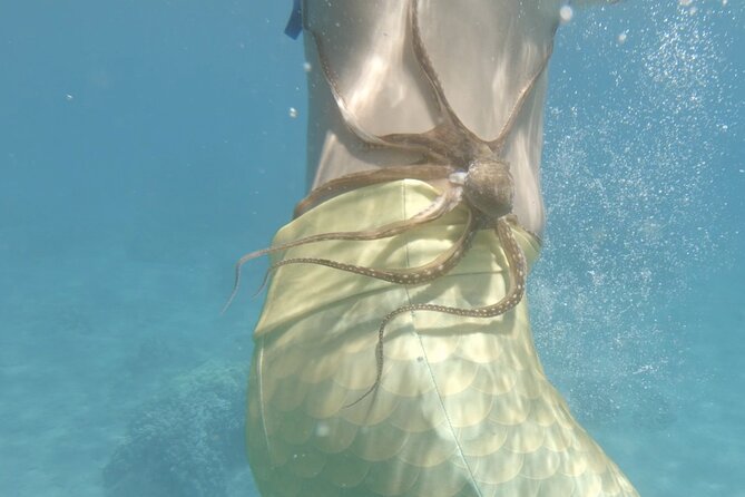 Lanai Snorkeling Half Day with Sea Scooter - Sea sickness, fitness, and comfort