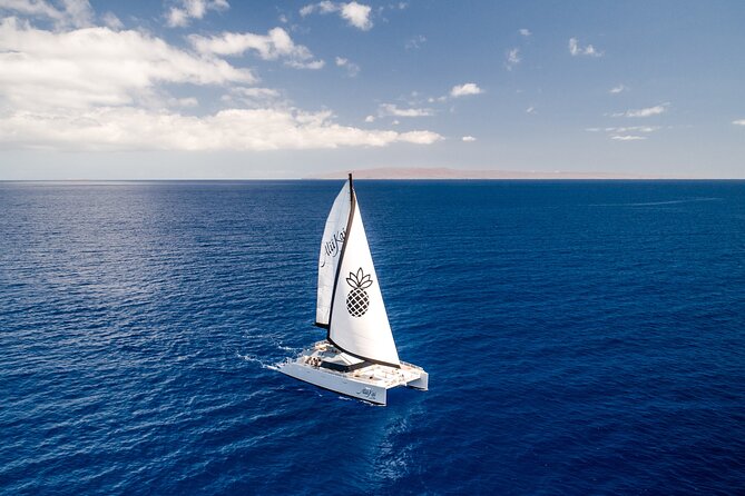 Luxury Catamaran Royal Sunset Dinner Sail (Adults-Only) - Key points at a glance