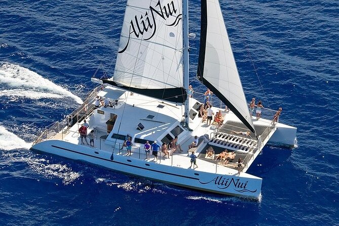 Luxury Catamaran Whale Watch - A naturalist, a hydrophone, and better whale watching