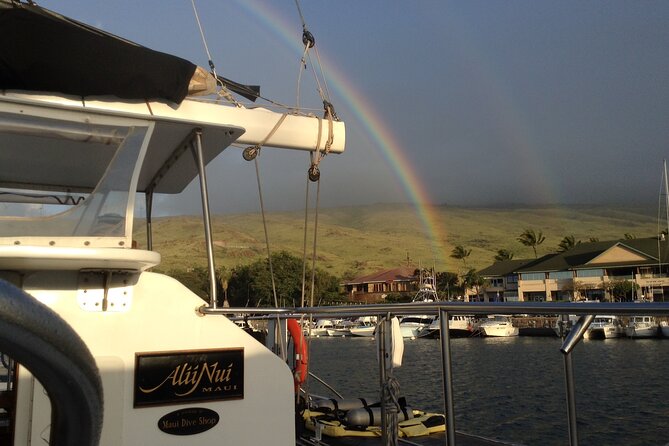 Luxury Catamaran Whale Watch - Practical tips before you sail