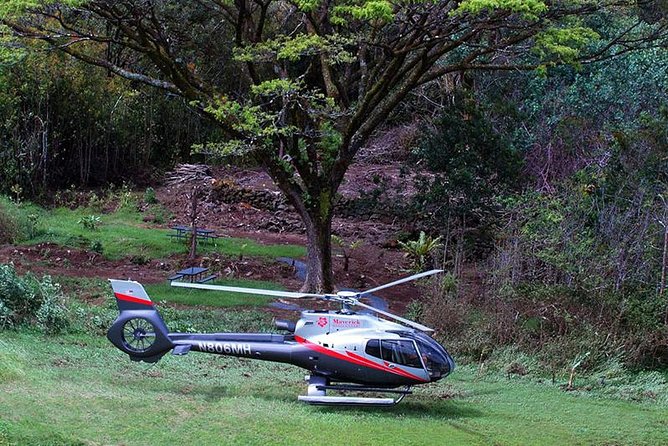 Luxury Helicopter Experience with Hana Rainforest Landing - What your 30 minutes on the ground feels like