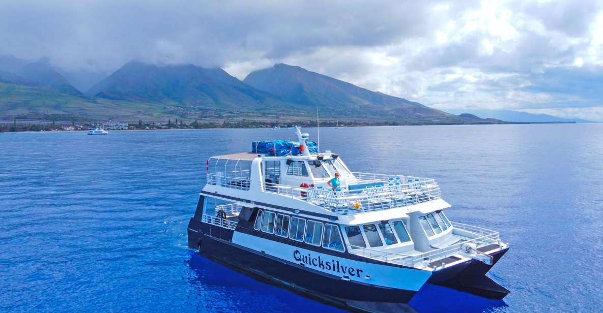 Ma'alaea Harbor: Whale Watching Tour Aboard Power Catamaran - Quick take: the details that matter