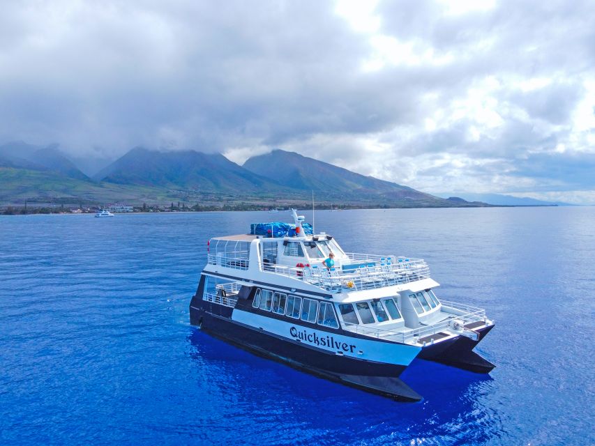 Ma'alaea Harbor: Whale Watching Tour Aboard Power Catamaran - Starting at Maalaea Harbor