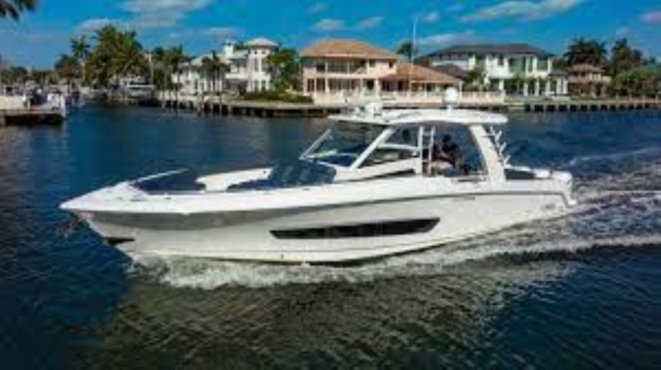 Maalaea: Small Group 2-Hour Whale Watch Experience - What the $279 price really buys