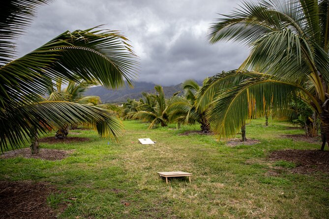 Macnut Tour, Picnic lunch and Maui Bees - Hydroponics, Regenerative Farming, and Repaired Soil
