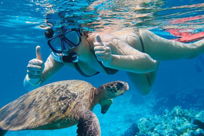 Makena Turtle Town Eco Adventure in Maui - Makena Landing Park and the early start