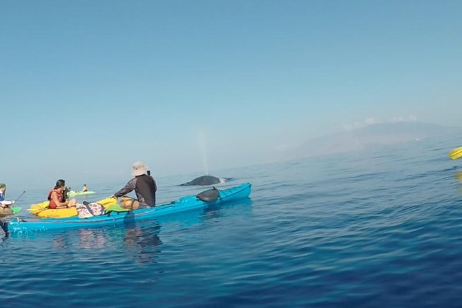 Makena Whale Watching and Snorkel - Paddling quietly through South Maui waters