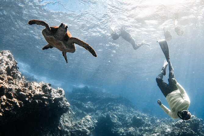 Mala Wharf Lahaina Jet Scooter Snorkeling Small Group with GoPro - Is $149 a fair price?