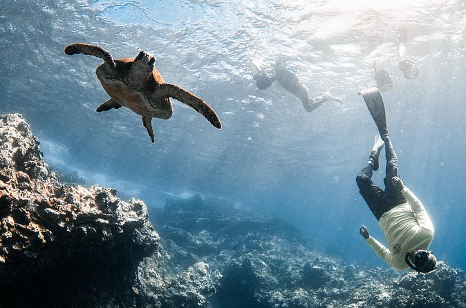 Mala Wharf Lahaina Jet Scooter Snorkeling Small Group with GoPro - What the strongest praise tells you