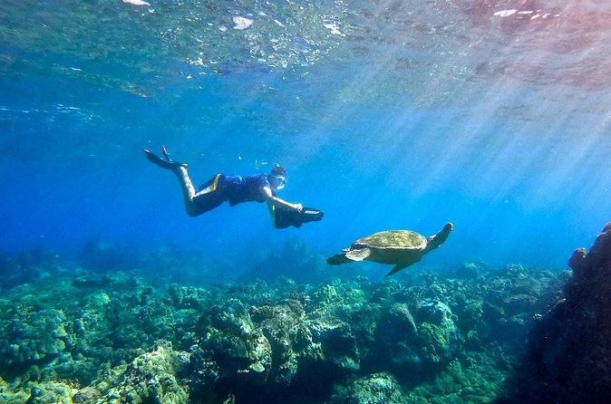 Mala Wharf Lahaina Jet Scooter Snorkeling Small Group with GoPro - Who will get the most from this outing?