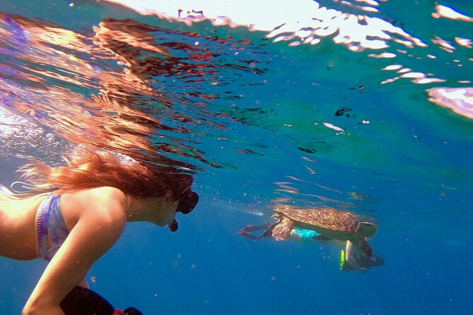 Mala Wharf Lahaina Jet Scooter Snorkeling Small Group with GoPro - Getting ready at the Lahaina meeting point