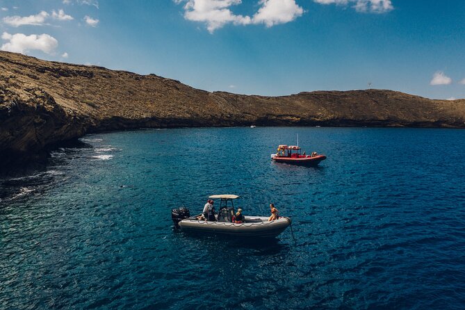 Maui: 2-Hour Molokini Snorkel Trip - Who should book this Molokini trip