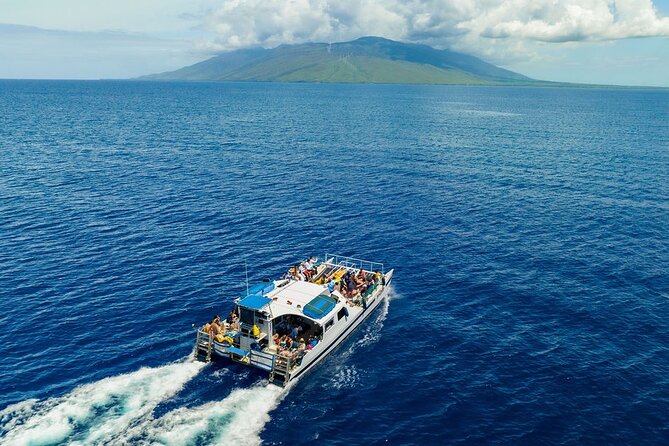 Maui Afternoon Snorkel Aboard Malolo to Molokini or Coral Gardens - Wildlife is a bonus, not the main promise