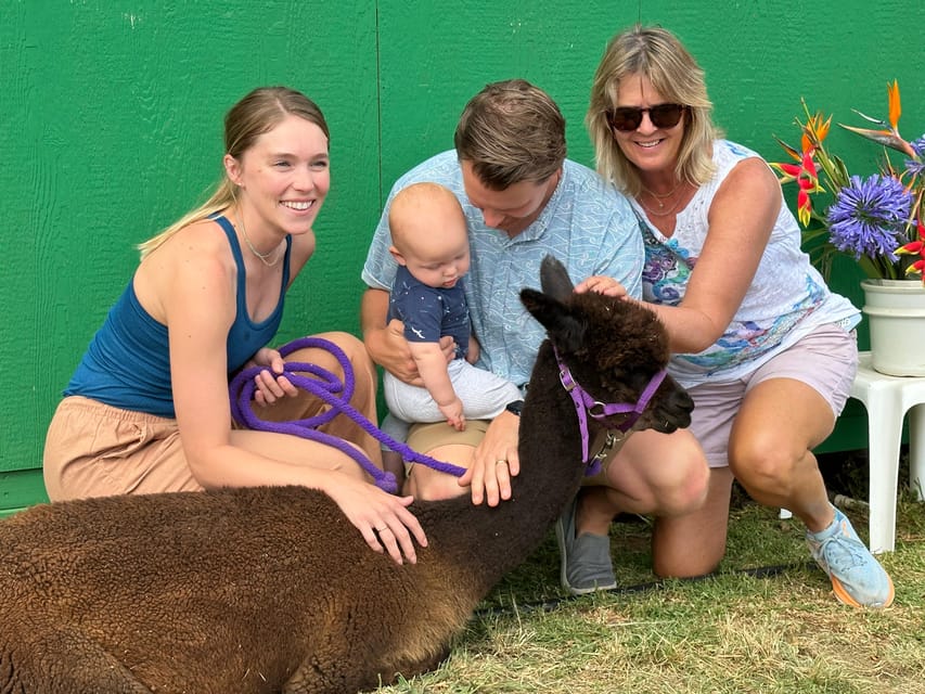 Maui: Alpaca Farm Visit with Hands-On Activities - FAQ
