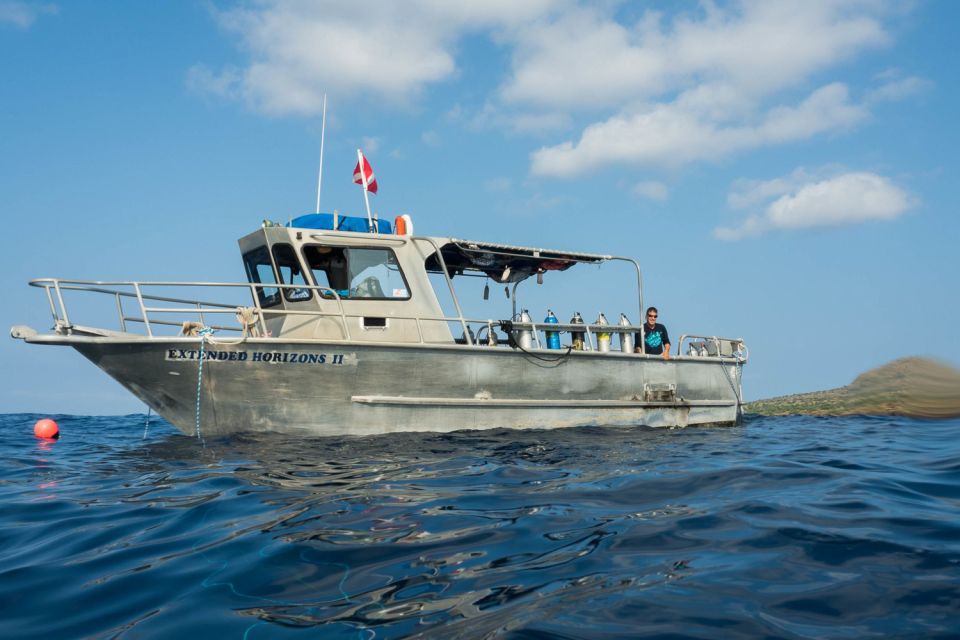 Maui: Beginner Discovery Scuba Dive Excursion from Lahaina - What you may see below Maui’s surface