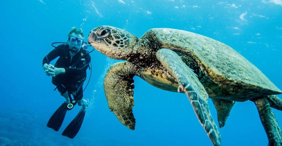 Maui: Beginner Discovery Scuba Dive Excursion from Lahaina - Learning to breathe underwater before meeting the reef