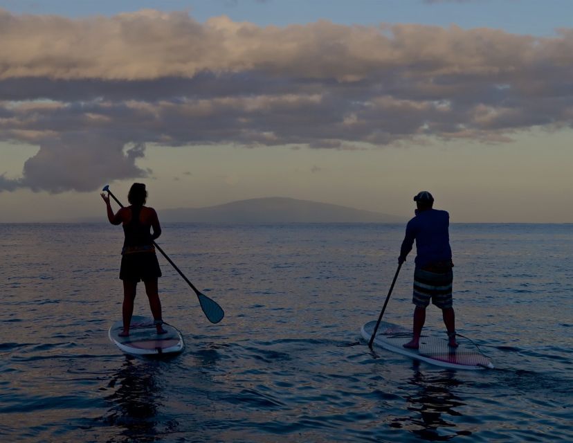 Maui: Beginner Level Private Stand-Up Paddleboard Lesson - Haleakala Seen From the Ocean