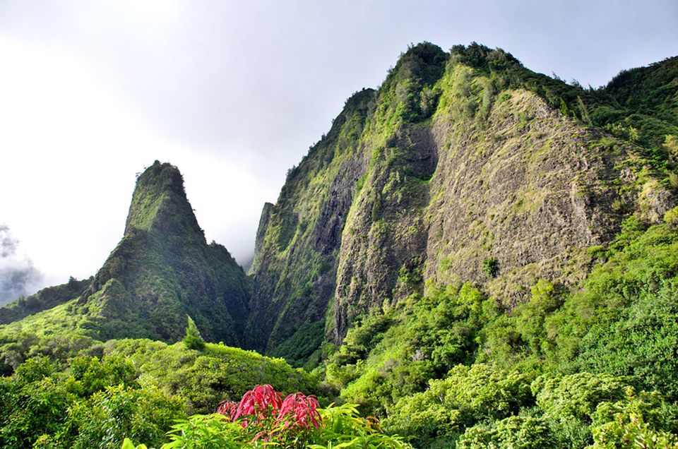 Maui: Best of Maui/Haleakala - Sips, Sites & Bites - One day, two sides of Maui