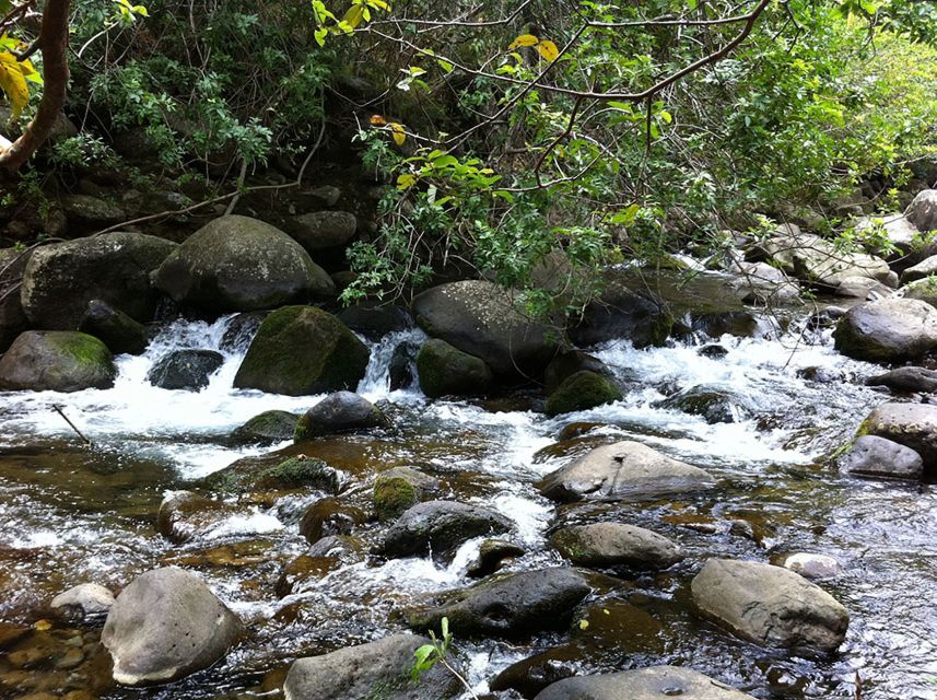 Maui: Best of Maui/Haleakala - Sips, Sites & Bites - Who will enjoy this Maui day most?