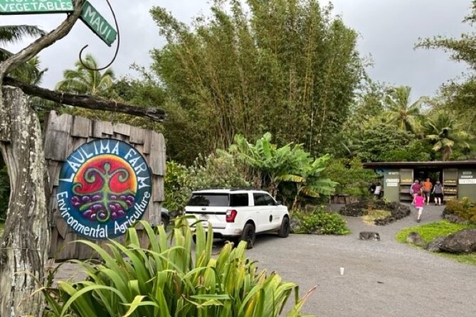 Maui by Storm: Epic Private Luxury Road to Hana Adventure Tour - Halfway to Hana and the banana bread tradition