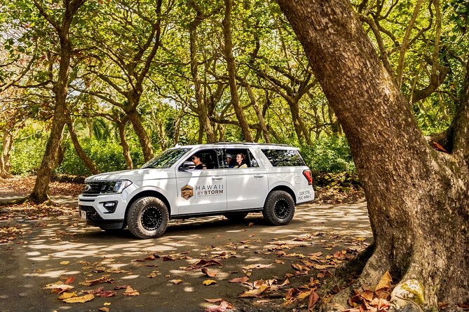 Maui by Storm: Epic Private Luxury Road to Hana Adventure Tour - Puaa Kaa State Park and the waterfalls