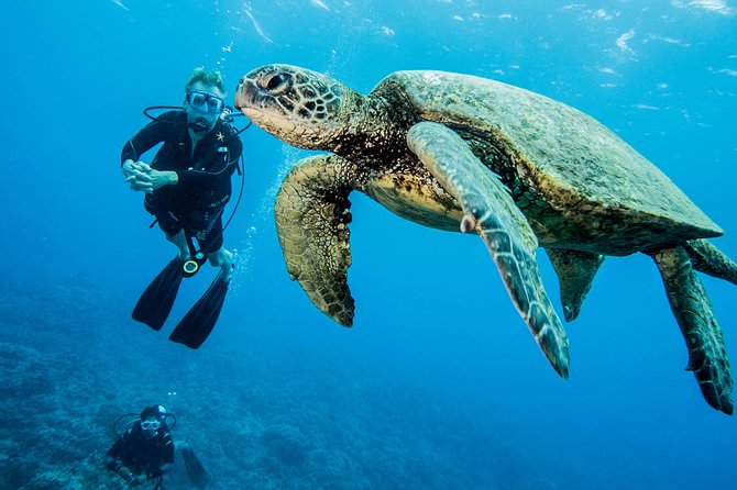 Maui Certified Shore Diving from Lahaina - The meeting point requires extra attention