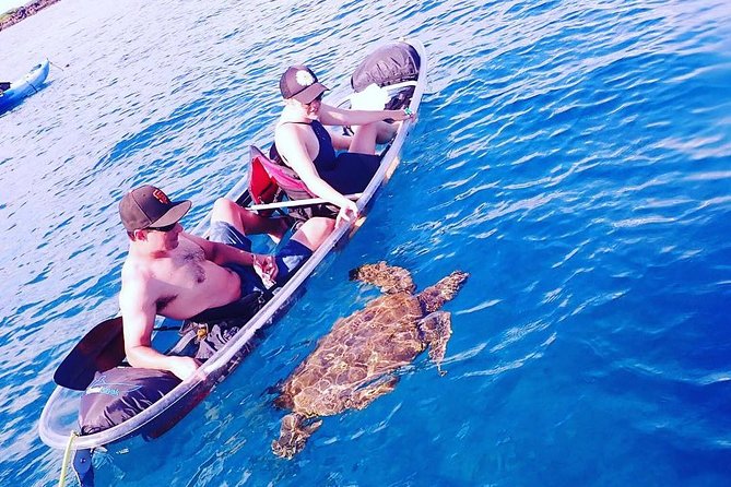 Maui Clear Kayak and Snorkel Tour: Swim with turtles (Makena) - Getting in and out of the kayak
