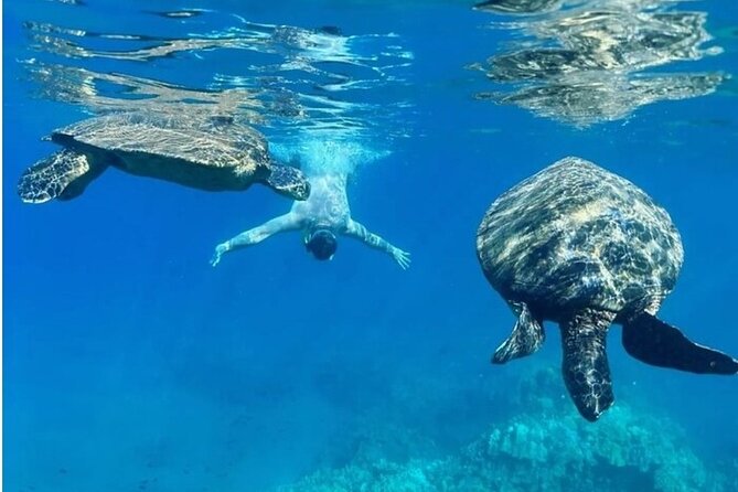 Maui Clear Kayak and Snorkel Tour: Swim with turtles (Olowalu) - Small groups, capable guides, and photo options
