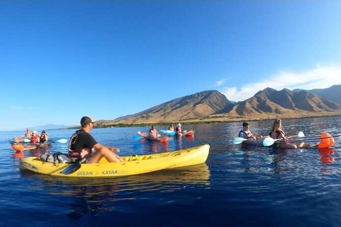 Maui Clear Kayak and Snorkel Tour: Swim with turtles (Olowalu) - What happens during the three-hour morning outing