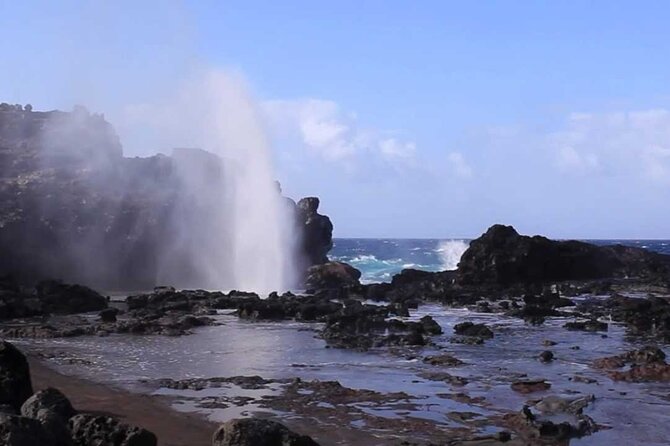 Maui Coast Slingshot Tour from Kihei - Maui Tropical Plantation for food and farm life