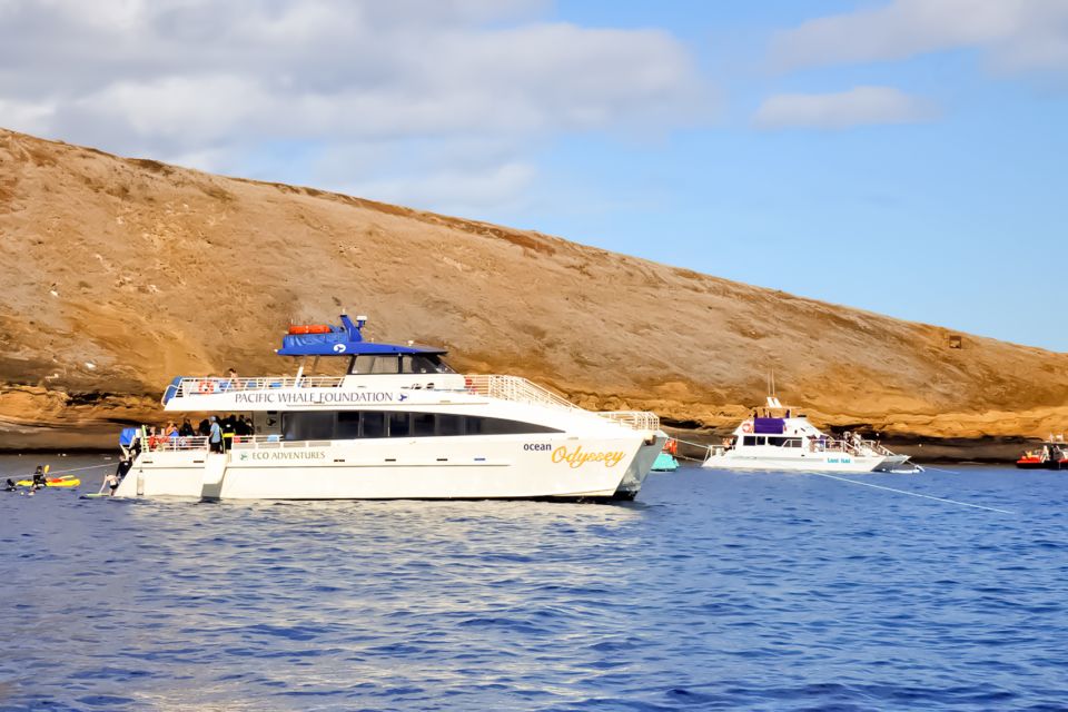 Maui: Eco-Friendly Molokini & Turtle Town Tour with Meals - Who should book this Molokini tour