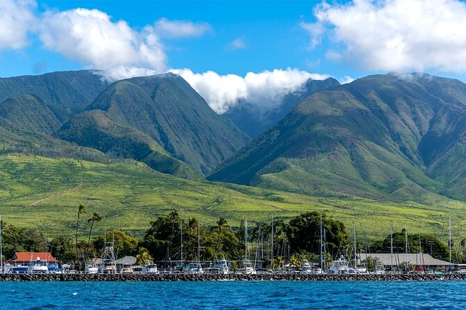 Maui Eco-Raft: 2 Hour Dolphin Watch Sightsee Tour (Semi-Private) - A dry ocean adventure, with a chance of spray