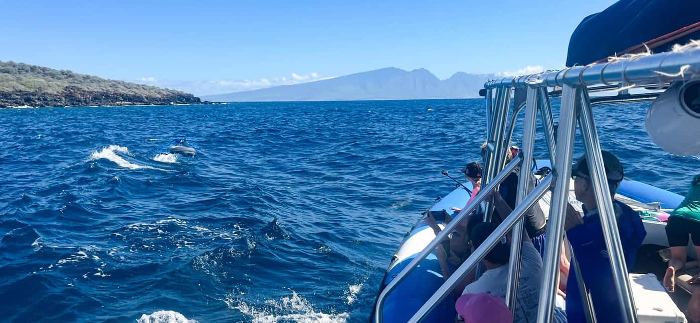 Maui: Eco-Raft Dolphin Watch Tour with Snacks - Key points to know before booking