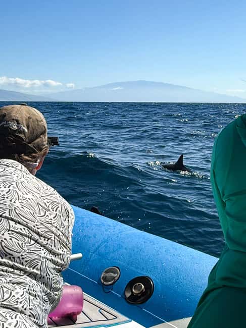 Maui: Eco-Raft Dolphin Watch Tour with Snacks - A small raft and a big Pacific view