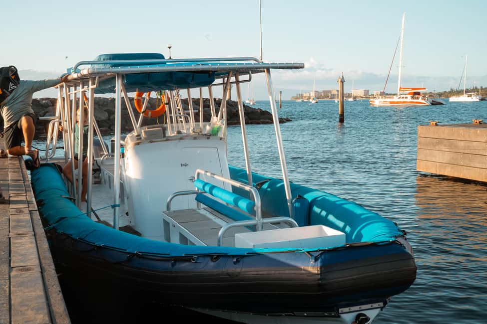 Maui: Eco-Raft Dolphin Watch Tour with Snacks - The practical meeting point in Lahaina