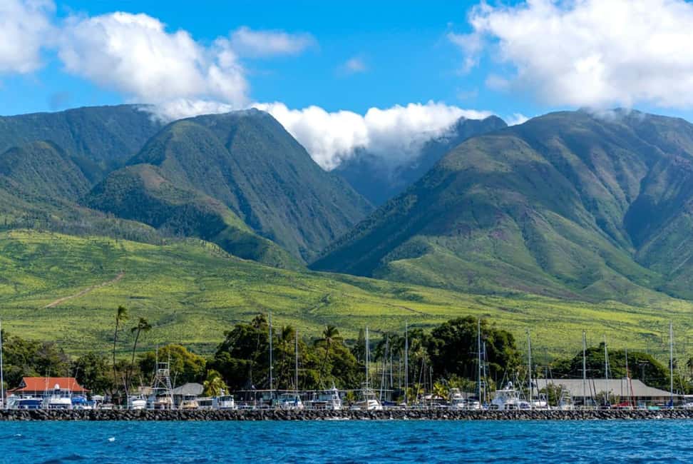 Maui: Eco-Raft Dolphin Watch Tour with Snacks - Who should book this Maui outing?