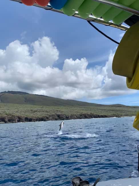 Maui: Eco-Raft Dolphin Watch Tour with Snacks - What the guide style adds