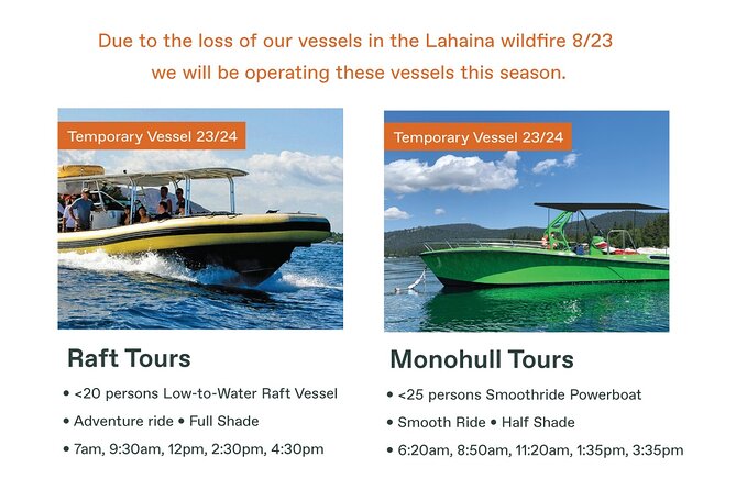 Maui Eco-Raft Tour: Eye-Level Whale or Dolphin Watching - Lahaina - Why a low raft changes whale watching