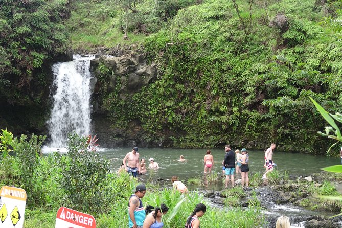 Maui: Famous Road to Hana Waterfalls and Lunch by Mercedes Van - Wailua Valley, Honomanu, and the rainbow trees