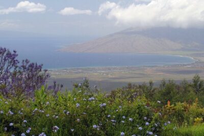 Maui Farm Distillery and local craft experience Full-Day Tour