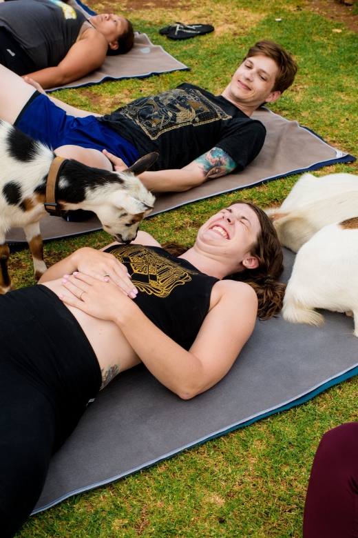 Maui Goat Yoga with Miniature Goats - Meeting Kai and Wendy and learning goat etiquette