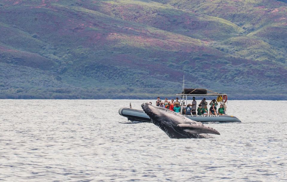 Maui: Guided Whale Watching Tour on Eco Raft - The 15-minute ride out from Lahaina