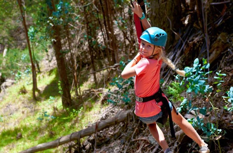 Maui: Haleakala 6-Line Zipline Adventure - Is $147 a fair price?