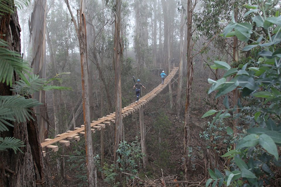 Maui: Haleakala 6-Line Zipline Adventure - Check-in and getting ready for the course