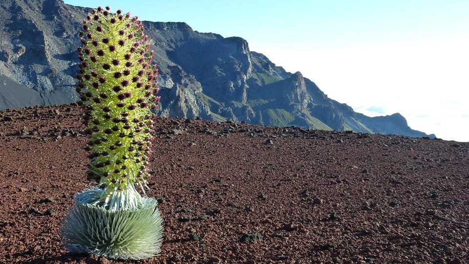 Maui: Haleakala Sunrise Tour with Pick-up - Haleakalā Crater and the visitor center