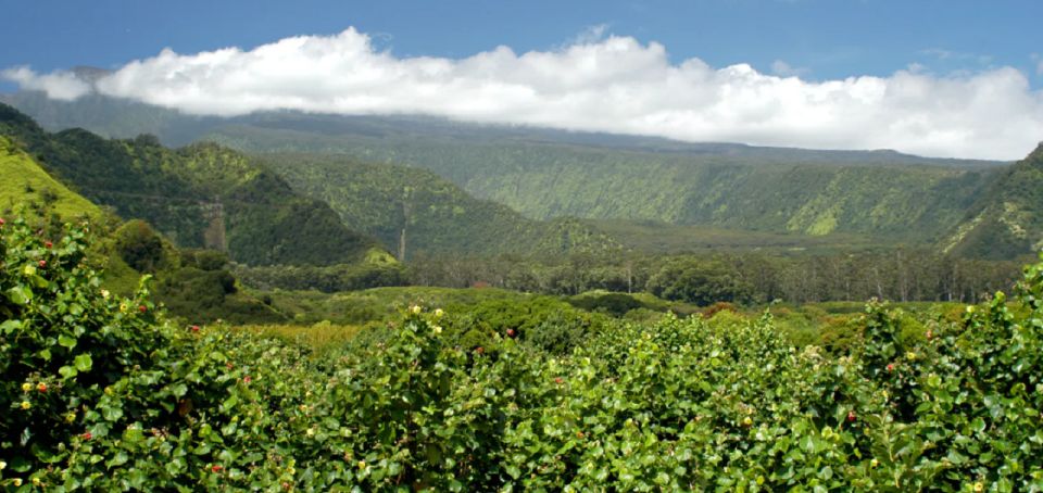 Maui: Hana Hiking Tour with Lunch - Key points to know before you book